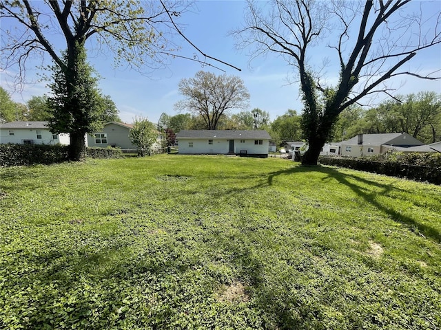 view of yard