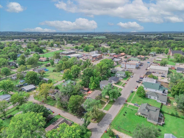 bird's eye view