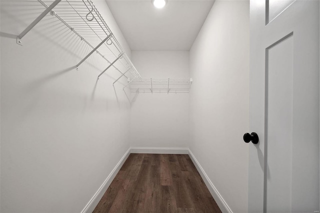 walk in closet with dark wood-style flooring