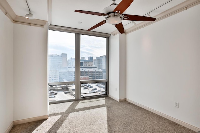 empty room featuring light carpet, baseboards, rail lighting, expansive windows, and a view of city