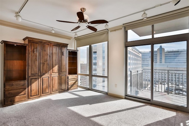 interior space with access to exterior, rail lighting, a city view, and carpet floors