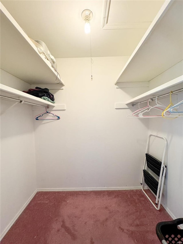 spacious closet with carpet flooring