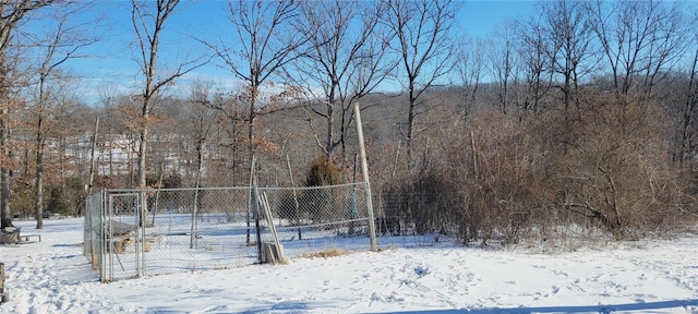 snowy yard featuring a view of trees