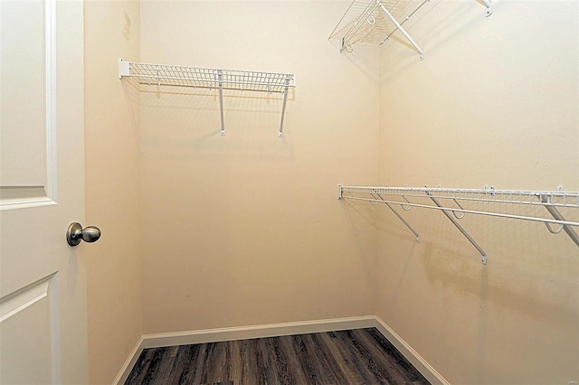 walk in closet featuring dark wood-style floors