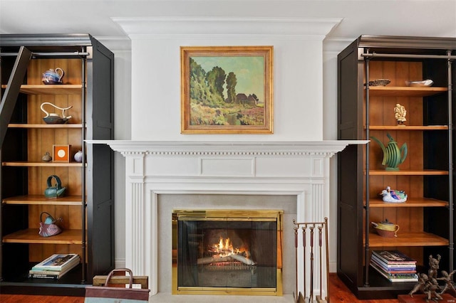 room details with ornamental molding and a lit fireplace