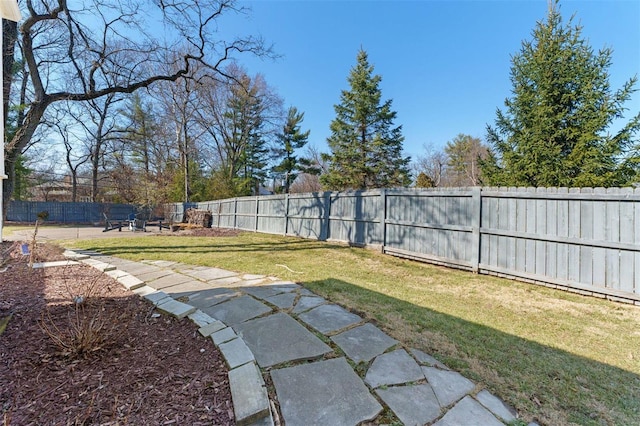 view of yard with a fenced backyard