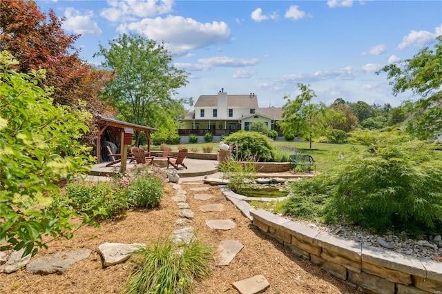 view of yard featuring a patio area