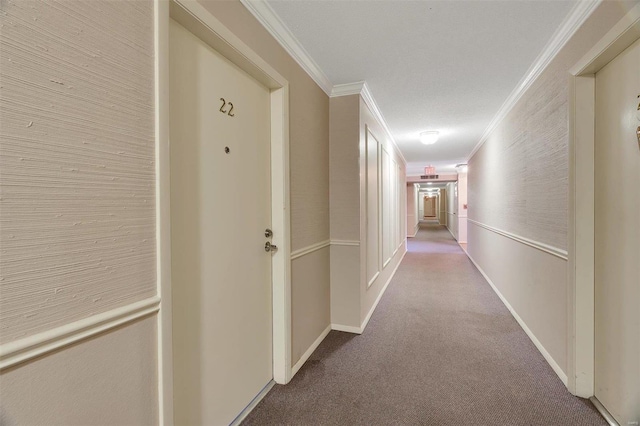 hall with ornamental molding, baseboards, and carpet floors