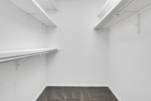 walk in closet featuring carpet flooring