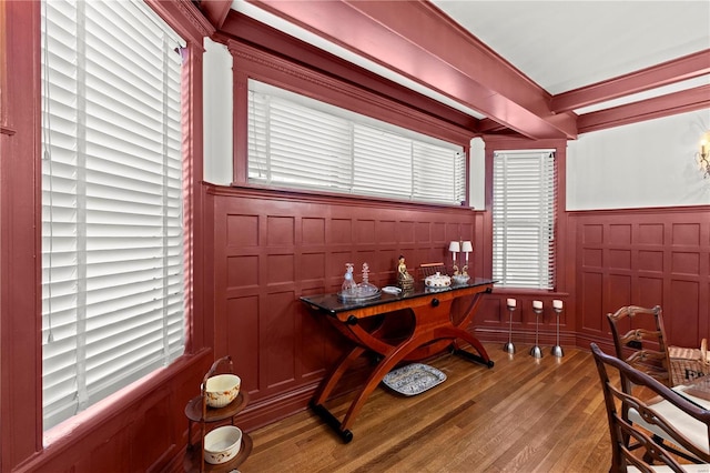 interior space featuring a decorative wall, wood finished floors, and wainscoting