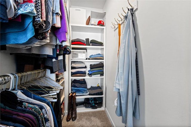 walk in closet with carpet flooring