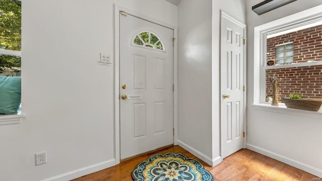 entrance foyer featuring light wood-type flooring, a healthy amount of sunlight, and baseboards