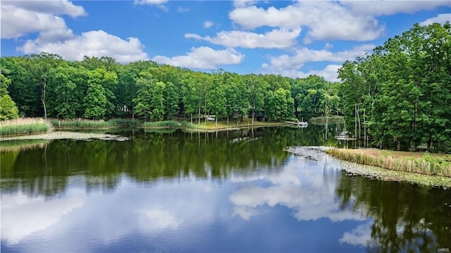 view of water feature with a wooded view