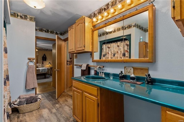 kitchen with dark countertops, dark wood-style flooring, and a sink