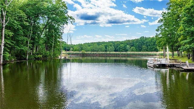 view of water feature with a dock and a view of trees