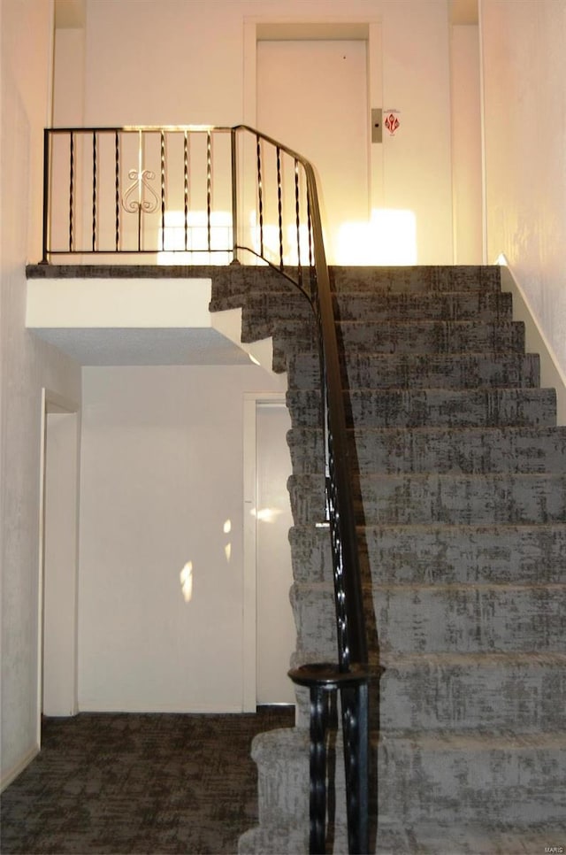 stairs with carpet floors