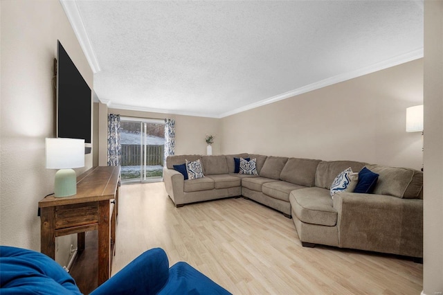 living area featuring light wood-style floors, ornamental molding, and a textured ceiling