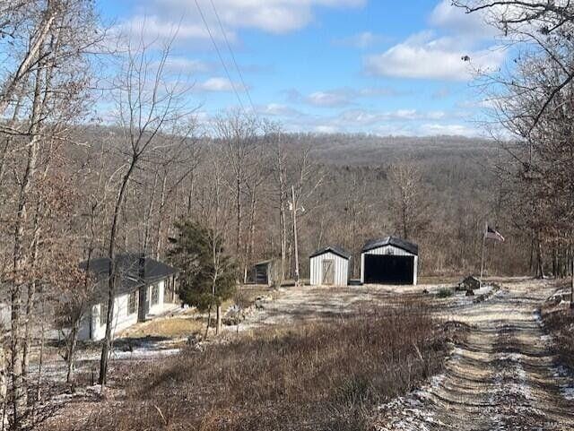 view of yard featuring an outbuilding, a detached garage, and dirt driveway