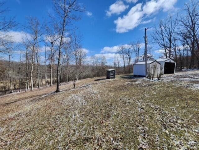 view of yard with a garage and an outdoor structure