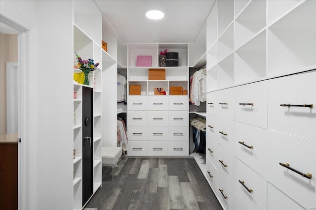 walk in closet with dark wood-style flooring