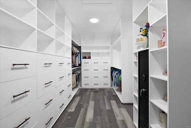 walk in closet with dark wood-type flooring