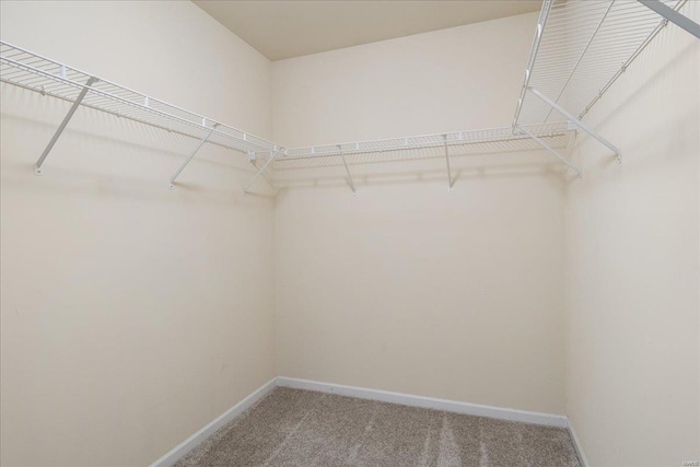 spacious closet with light colored carpet