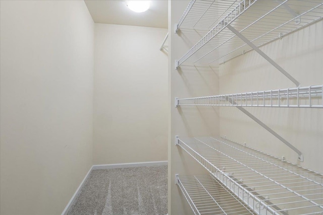 walk in closet featuring carpet floors