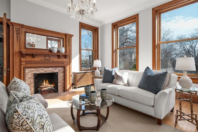 living area featuring a chandelier, radiator heating unit, crown molding, and light wood finished floors