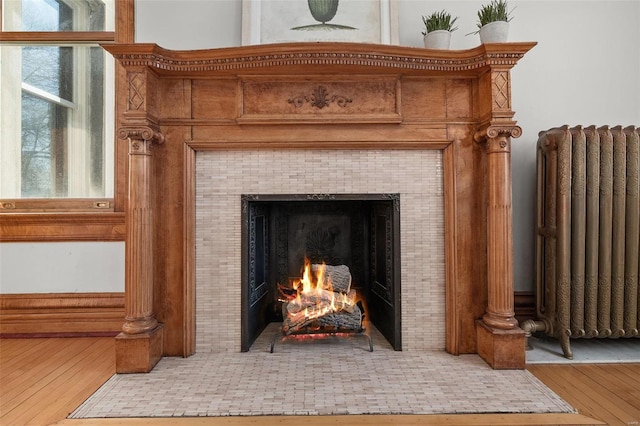 room details with radiator, a fireplace, and wood finished floors