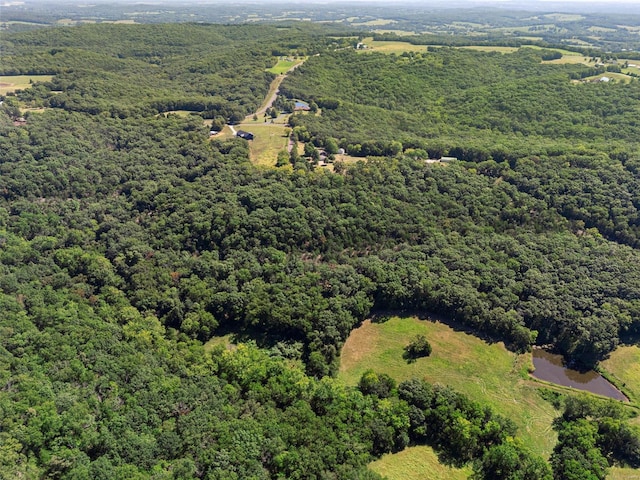 bird's eye view with a forest view