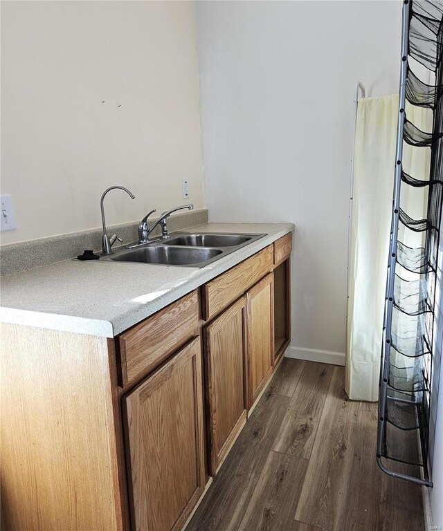 interior space featuring a sink and dark wood-type flooring