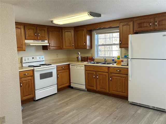 kitchen featuring under cabinet range hood, white appliances, a sink, light countertops, and light wood-type flooring