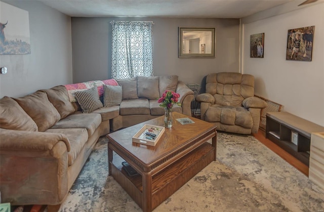 living area featuring wood finished floors