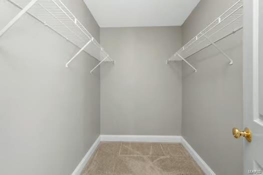 walk in closet with carpet