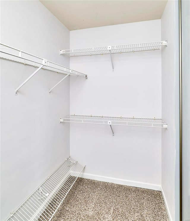 spacious closet with carpet