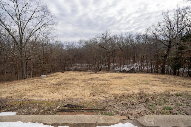 view of yard featuring a forest view