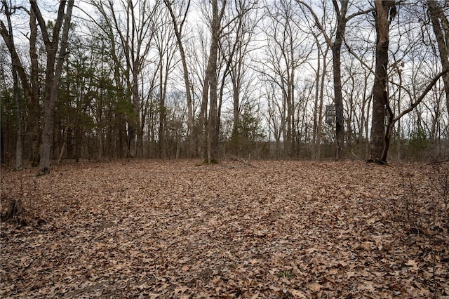 view of local wilderness