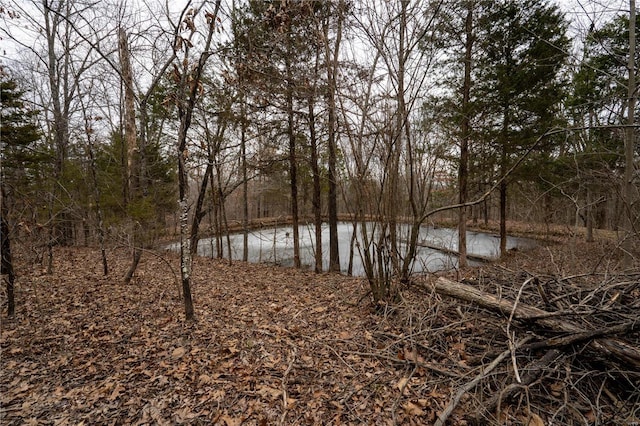 view of water feature featuring a forest view