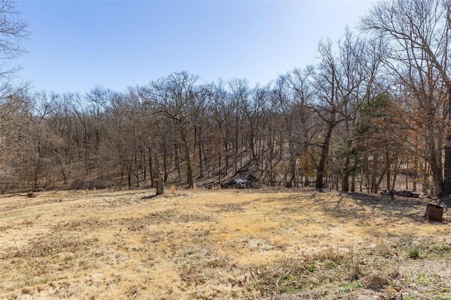 view of local wilderness featuring a view of trees