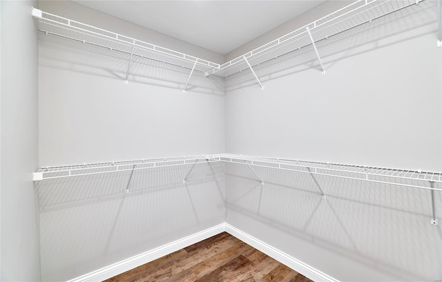 spacious closet featuring wood finished floors