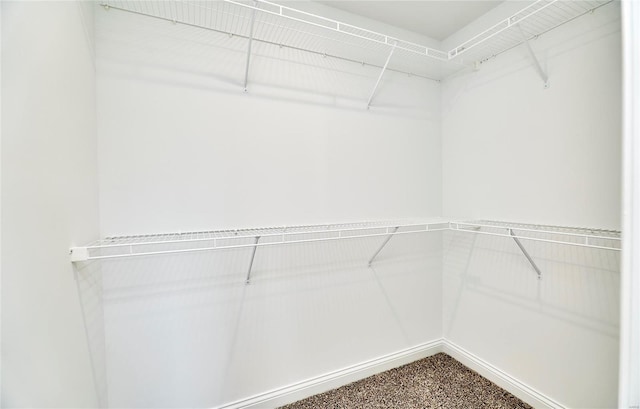 walk in closet with carpet