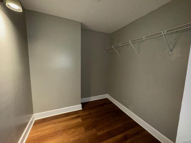 spacious closet featuring dark wood-style flooring