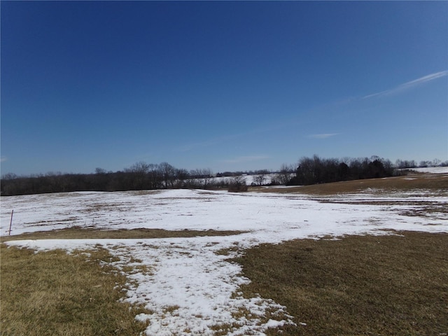 view of yard layered in snow