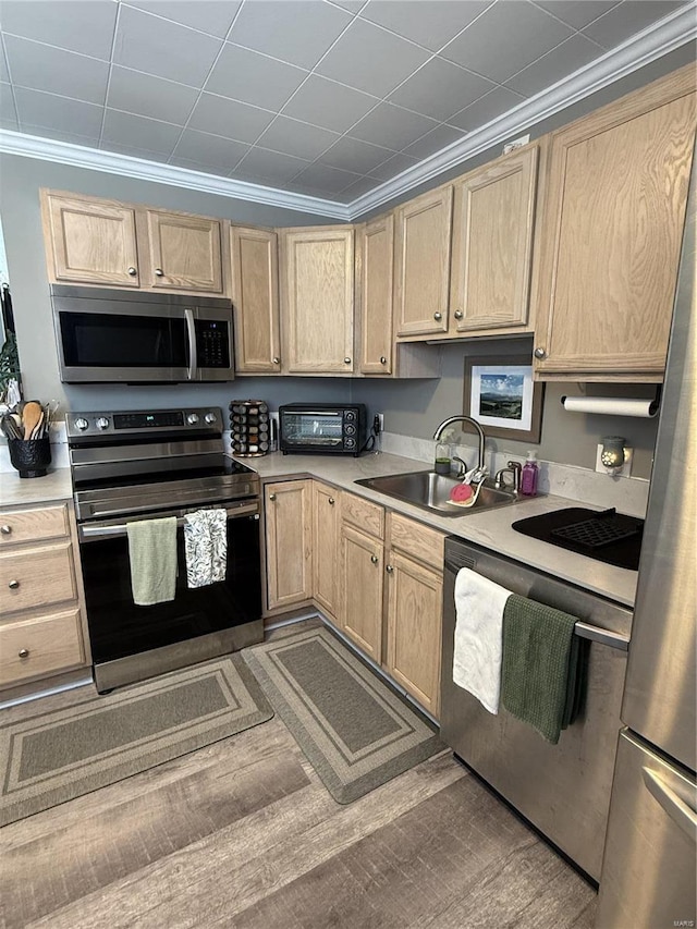 kitchen with stainless steel appliances, light countertops, a sink, and crown molding