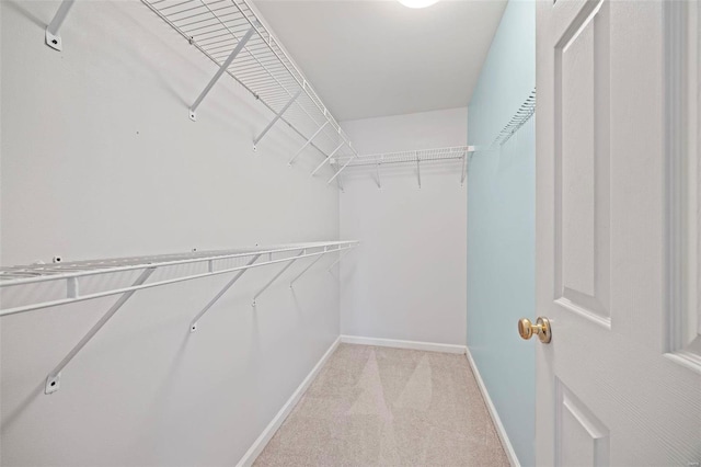 spacious closet featuring light carpet