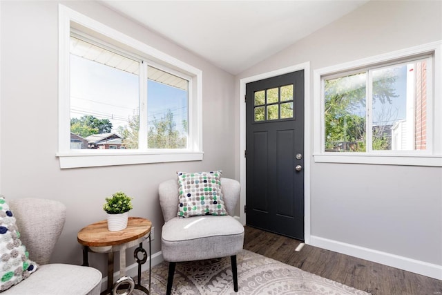 foyer entrance with a wealth of natural light, dark wood finished floors, vaulted ceiling, and baseboards