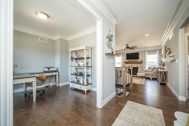 home office with visible vents, dark wood finished floors, a fireplace, ceiling fan, and crown molding