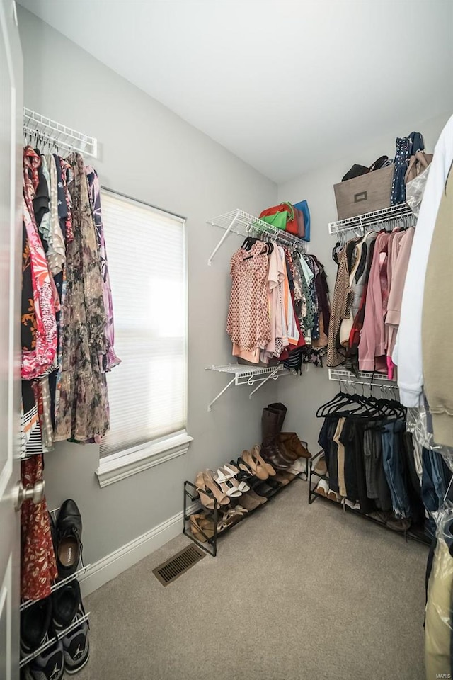 spacious closet featuring visible vents and carpet