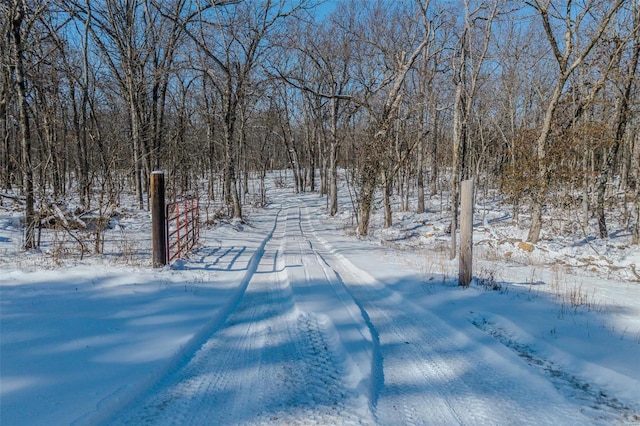 view of yard layered in snow