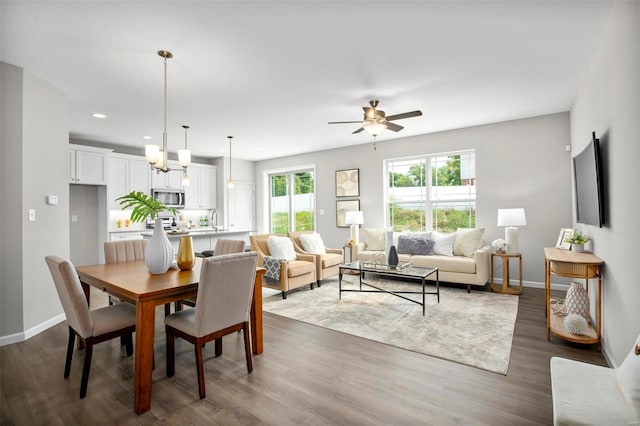 dining room featuring ceiling fan, dark wood finished floors, and baseboards